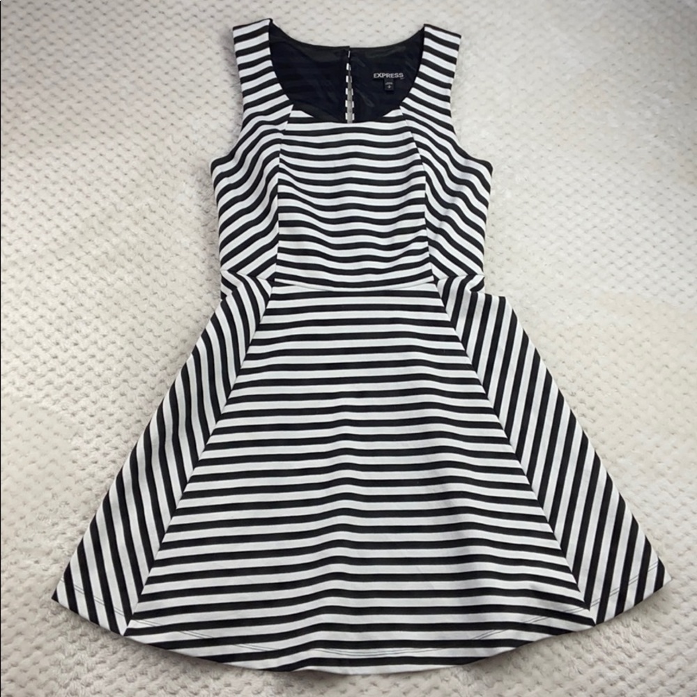 Express Striped A-Line Skater Dress